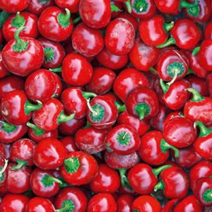 Paprika Rot